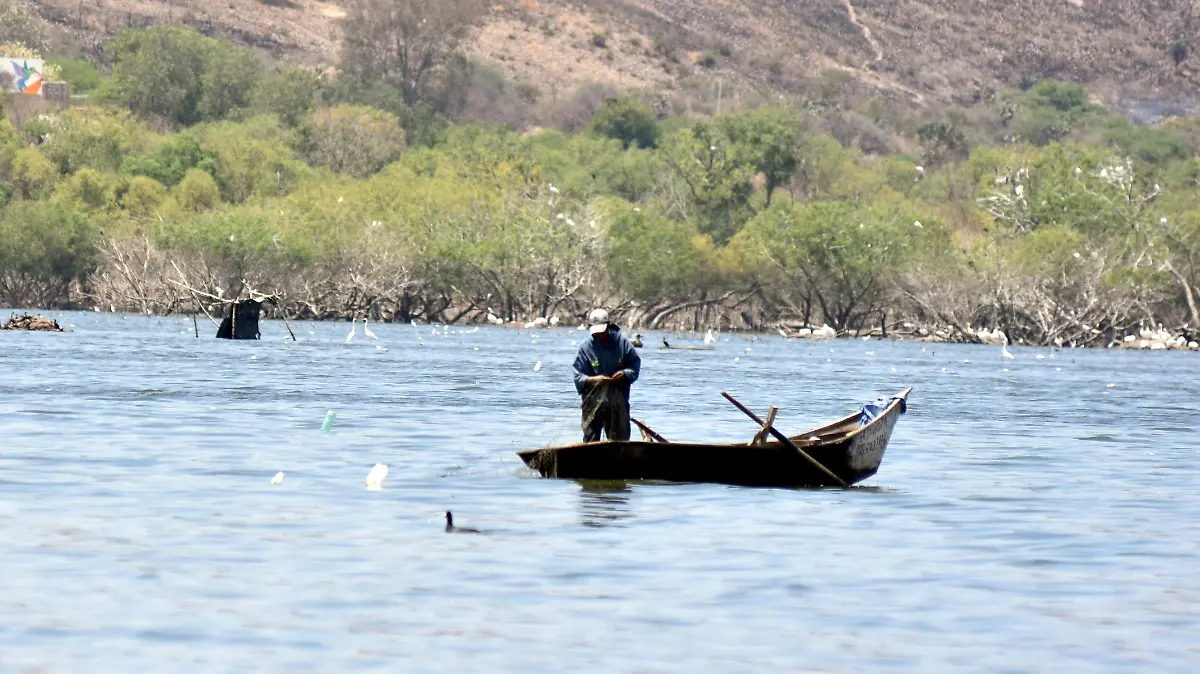 Invertirán alrededor de seis MDP para apoyar al cultivo de peces en el estado Paulo Bañuelos Rosales (2)